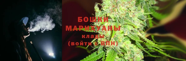 соль ск Козловка