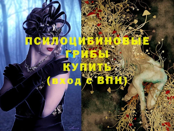 соль ск Козловка