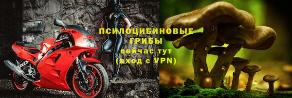 соль ск Козловка