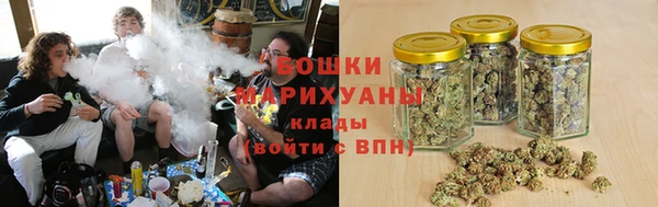 сатива Кодинск