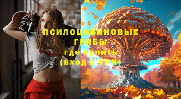 сатива Кодинск
