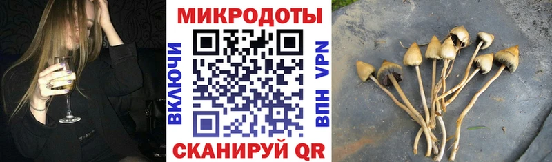 Галлюциногенные грибы MAGIC MUSHROOMS Купить где Малая Вишера